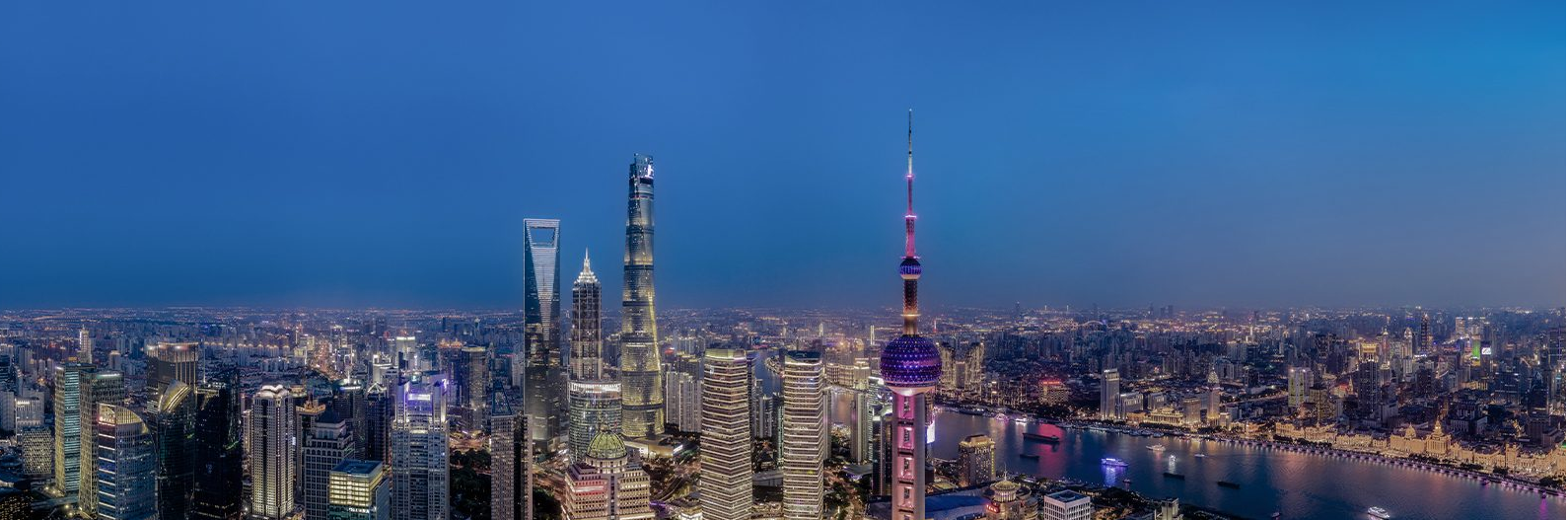 Career Consulting Services